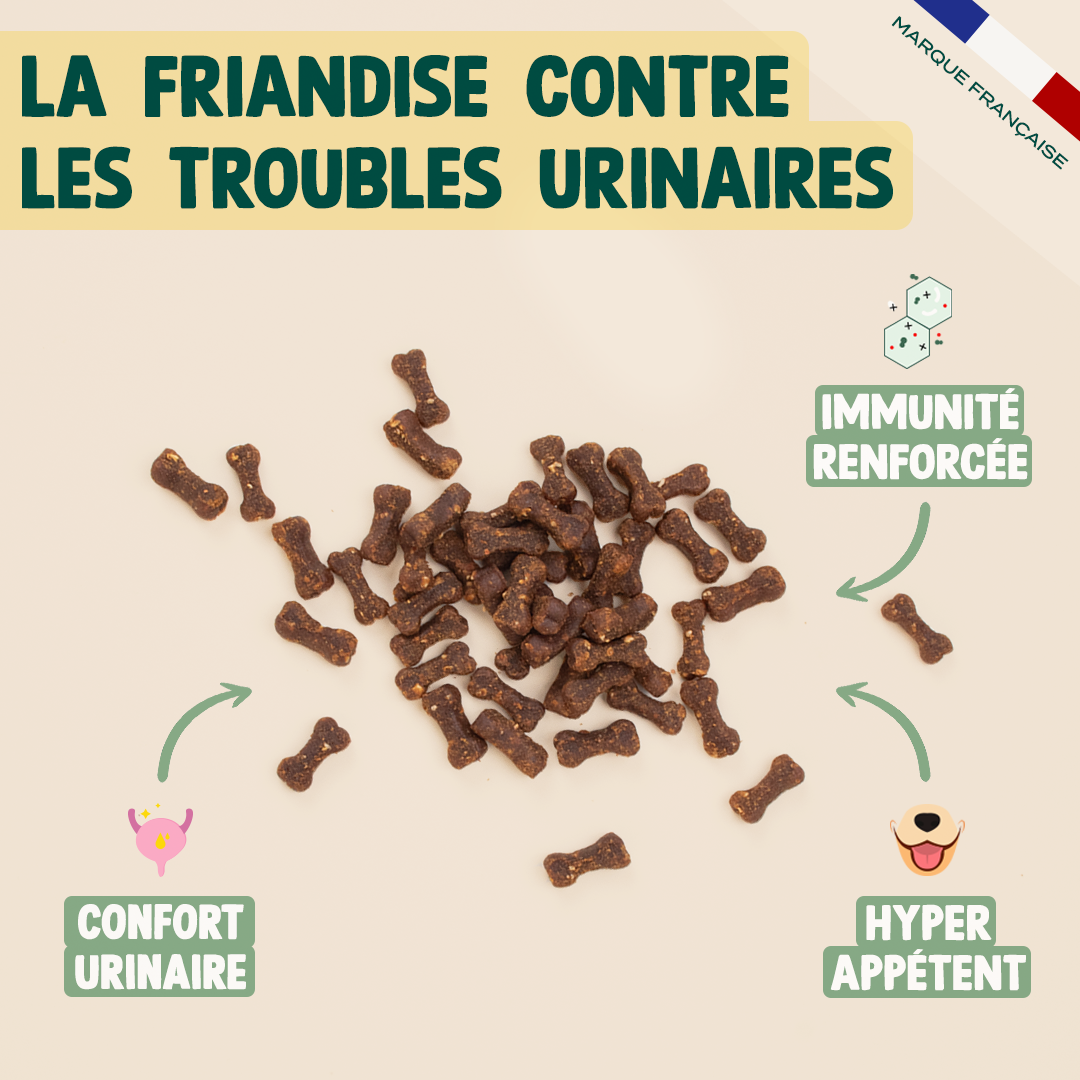 MINI SNACK URINAIRE
