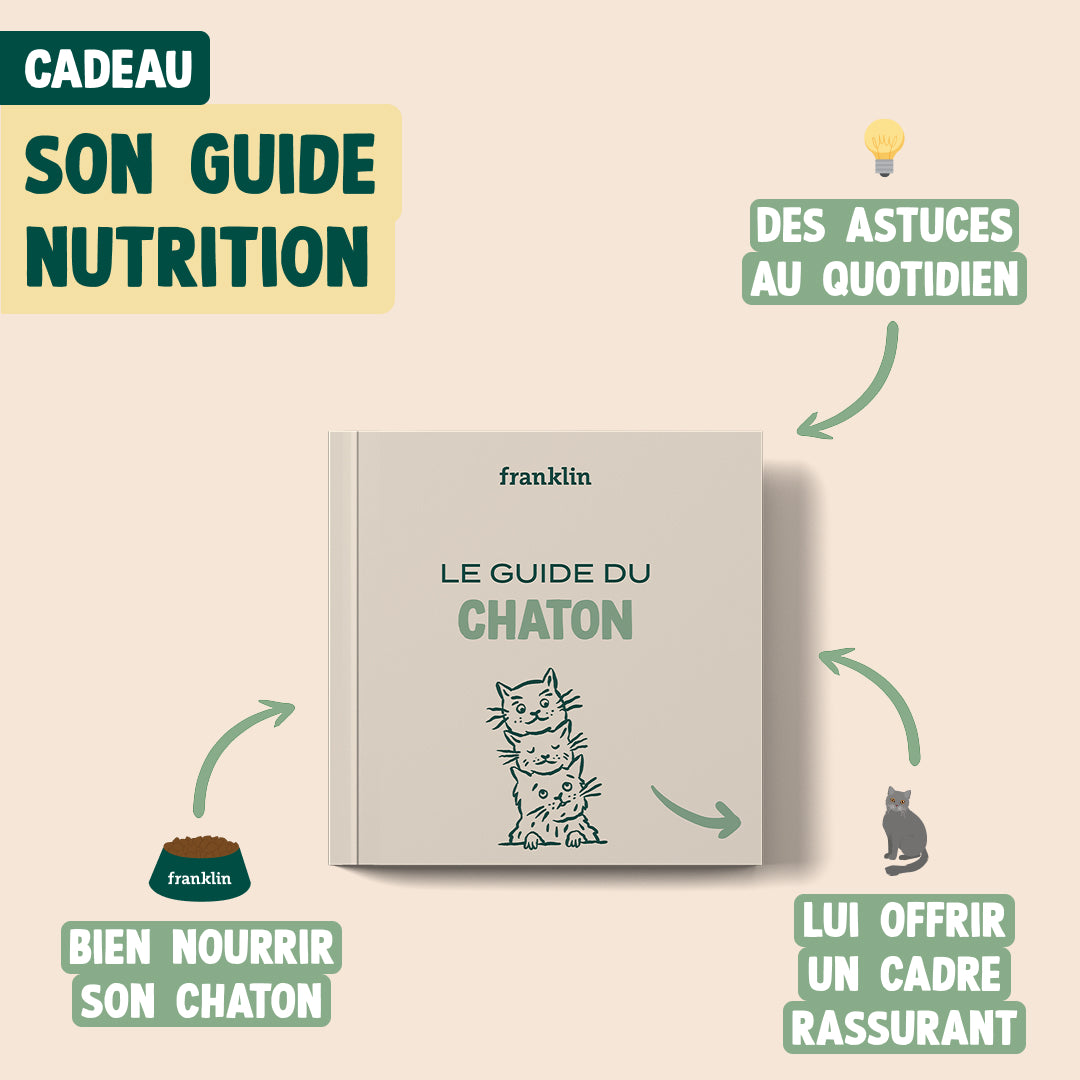 PACK DÉCOUVERTE CHATON
