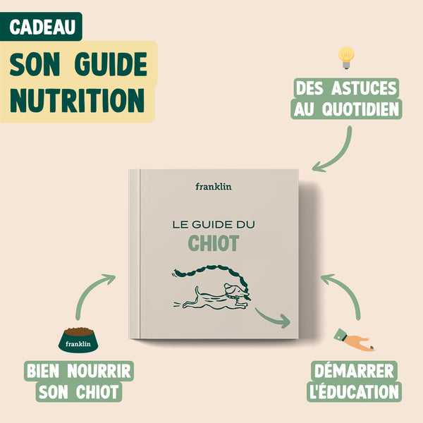 pack-decouverte-chiot
