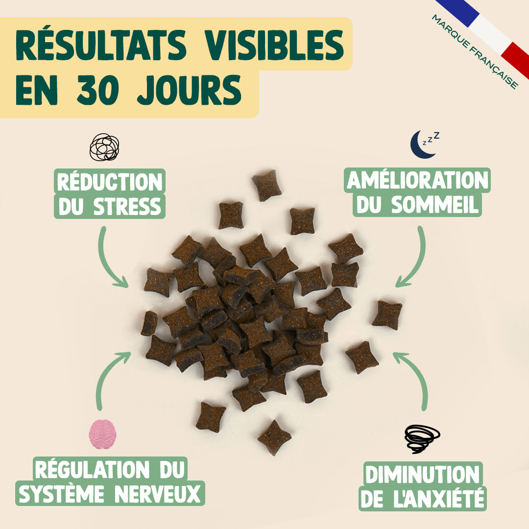 PACK POUR CHIEN STRESSÉ