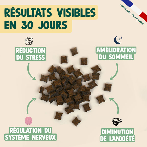 pack-pour-chien-stresse