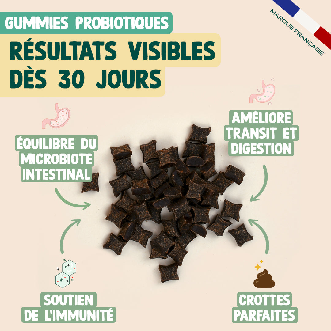 PACK DIGESTION POUR CHIEN