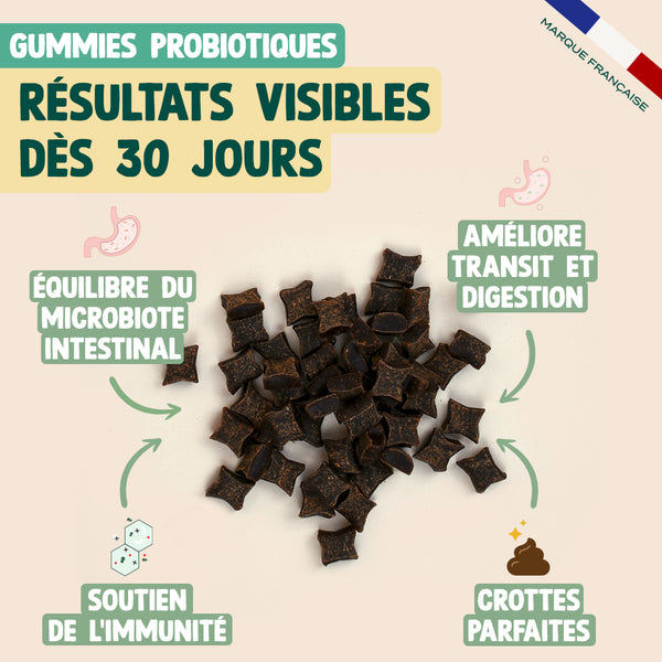 pack-digestion-pour-chien