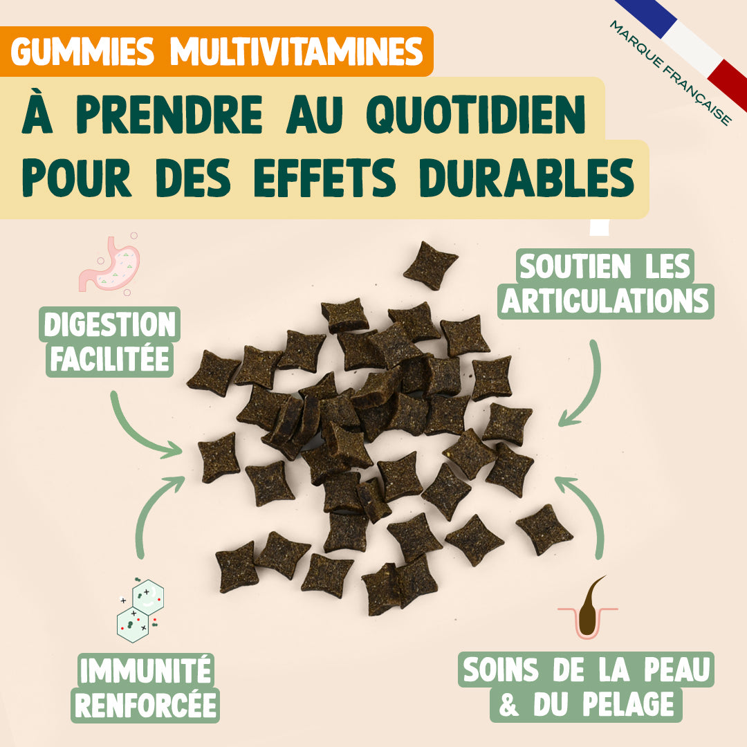 GUMMIES MULTIVITAMINES