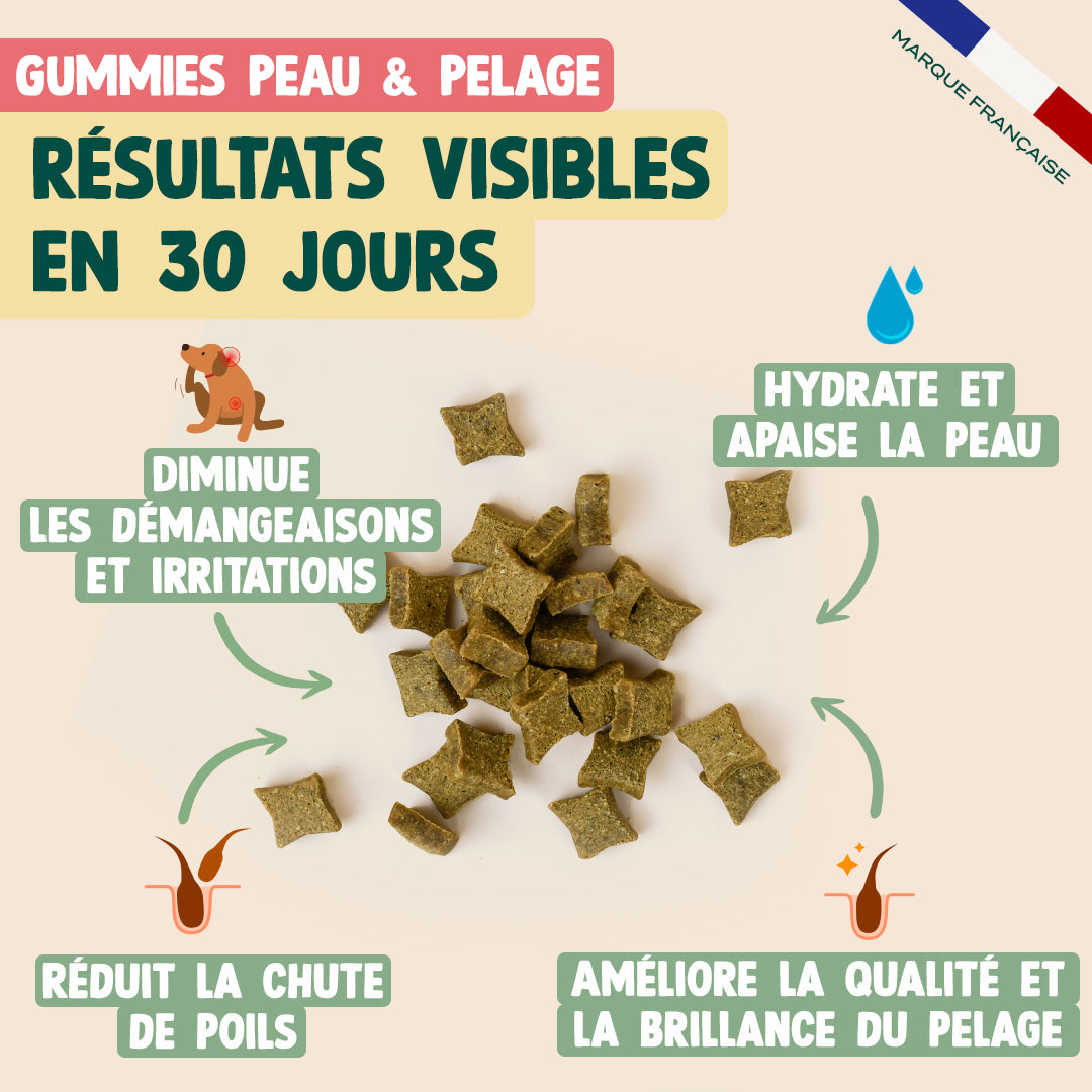 PACK PEAU SAINE POUR CHIEN