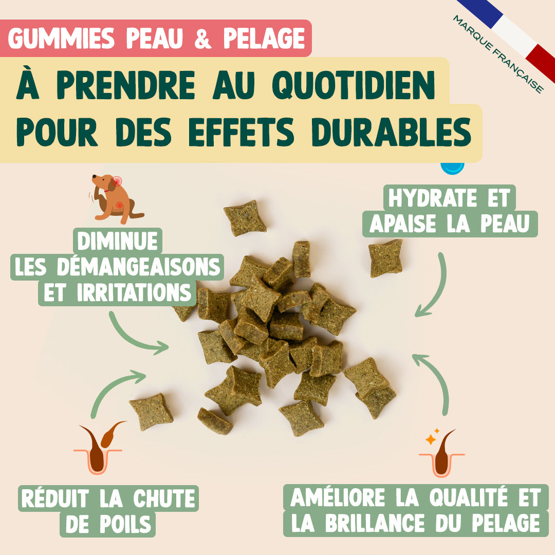 PACK PEAU SAINE CHIEN