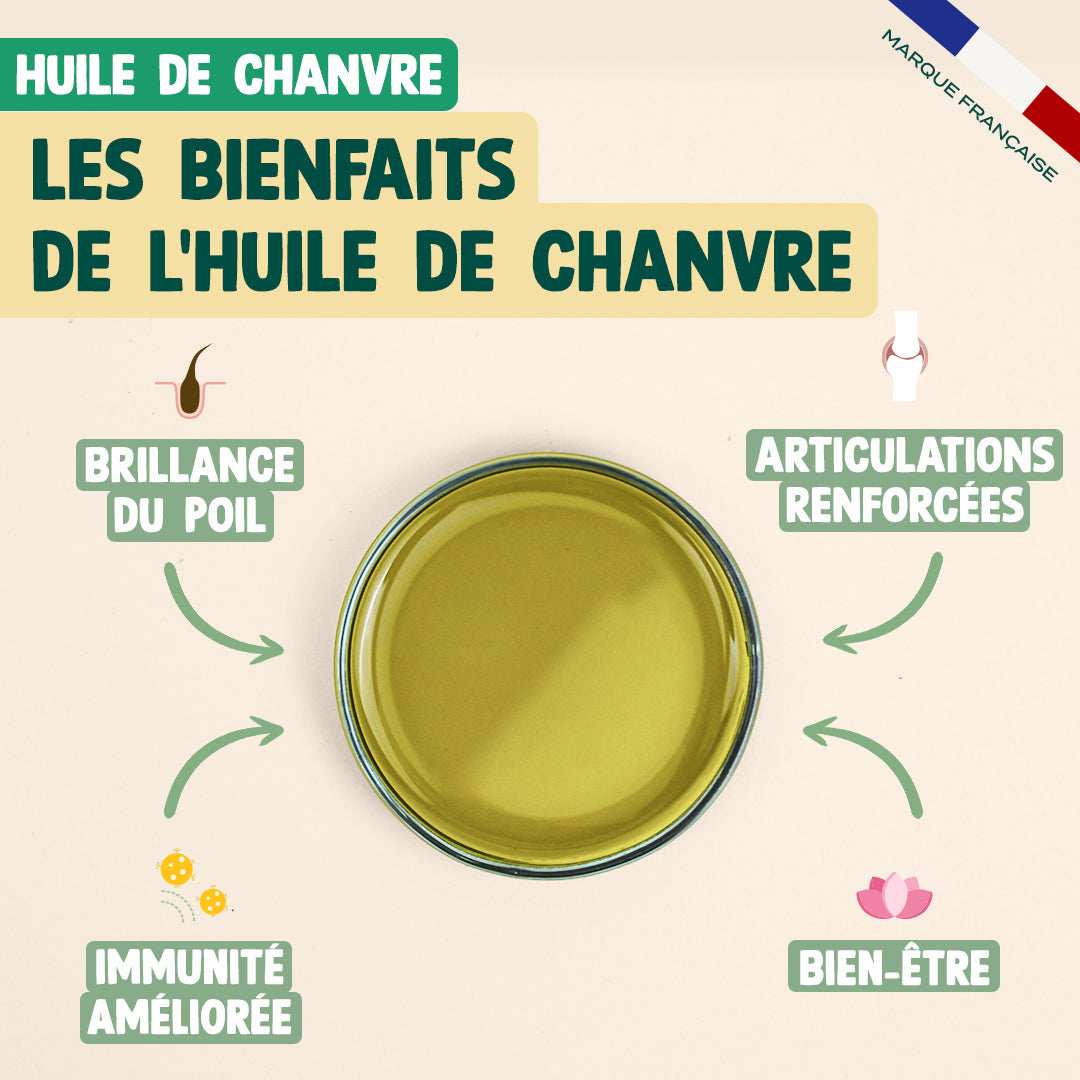 PACK POUR CHIEN STRESSÉ