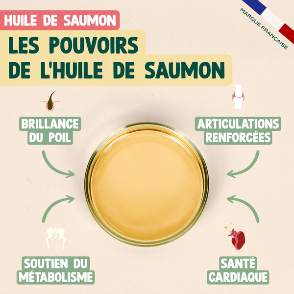 pack-pour-chat-senior