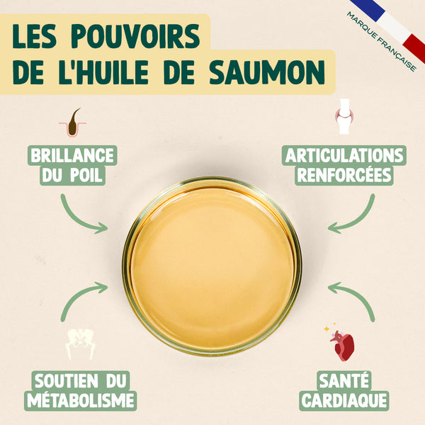 huile-de-saumon