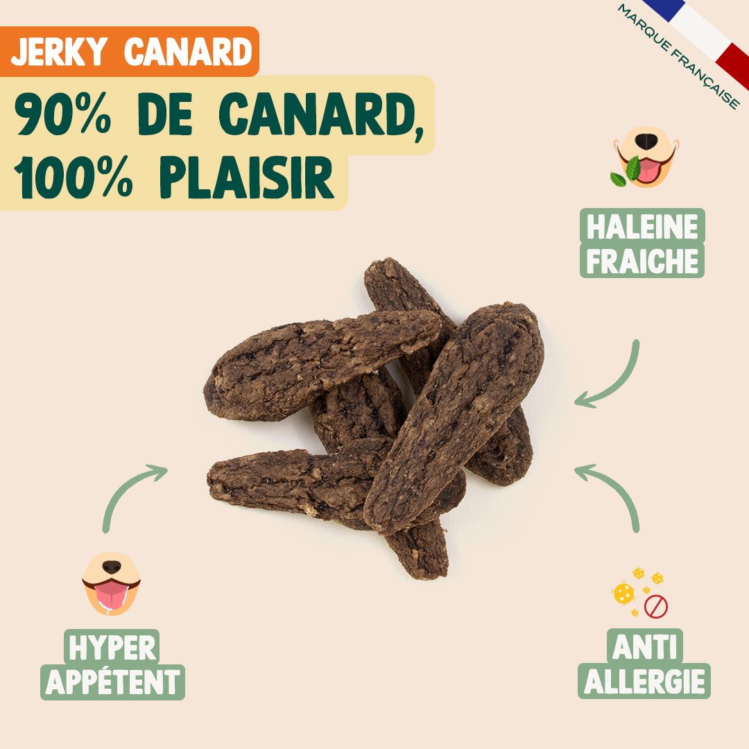 PACK POUR CHIEN ALLERGIQUE