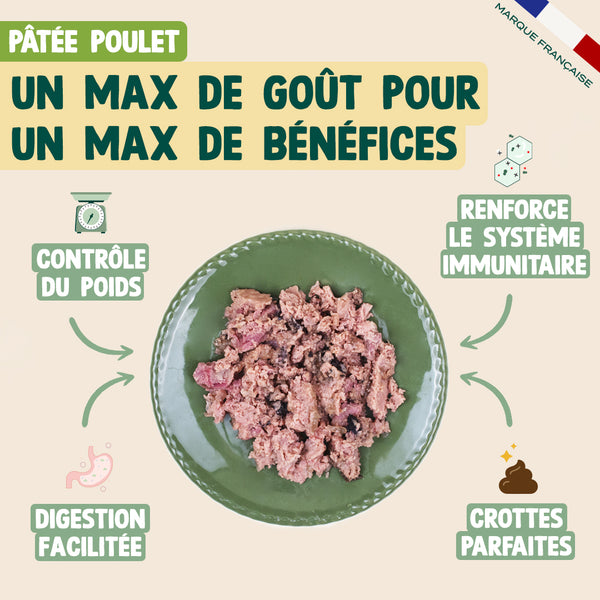 pack-pour-chien-sterilise