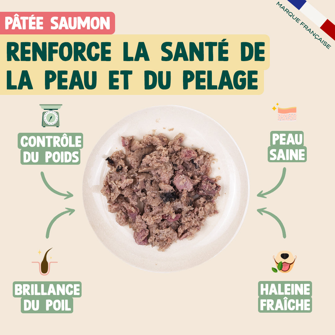 PACK DÉCOUVERTE PÂTÉES CHIEN