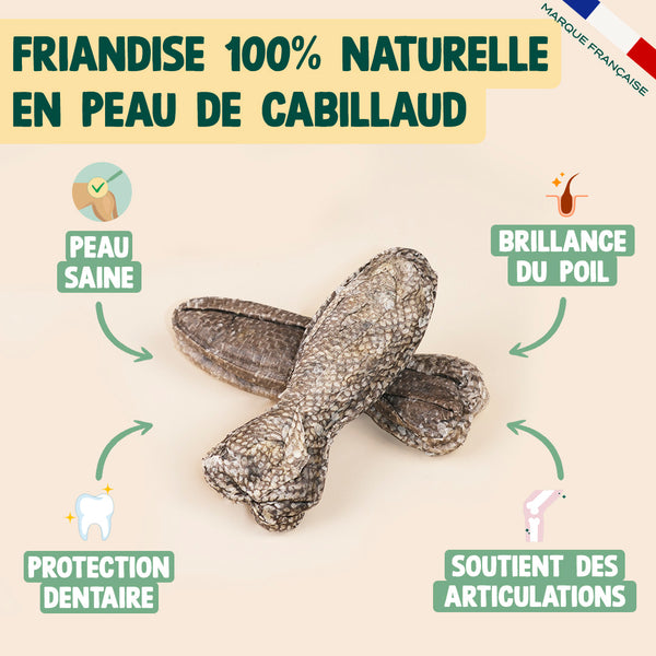 pack-dentaire-pour-chien