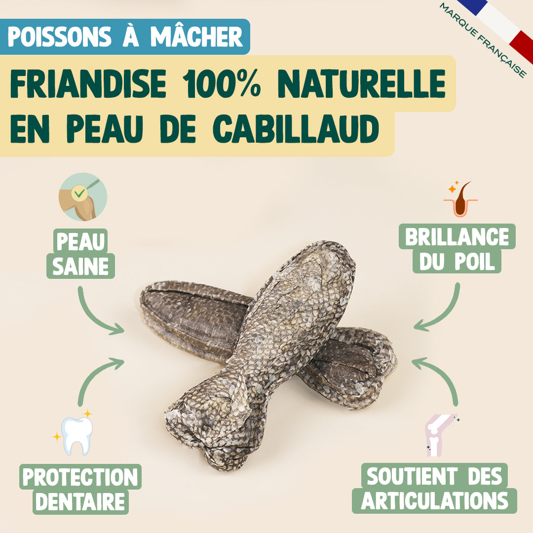 PACK DÉCOUVERTE STICKS COLLAGÈNE