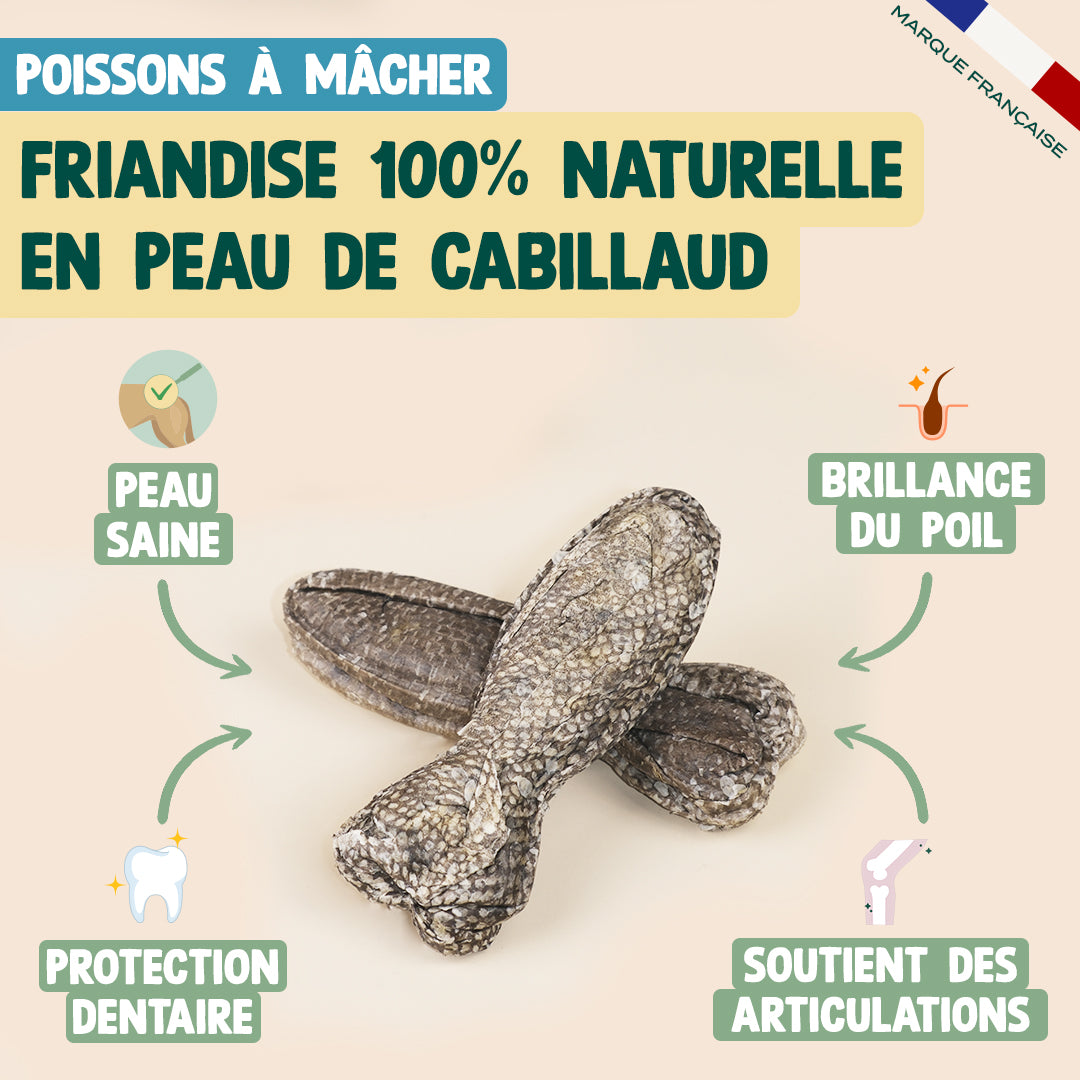 PACK PEAU SAINE POUR CHIEN