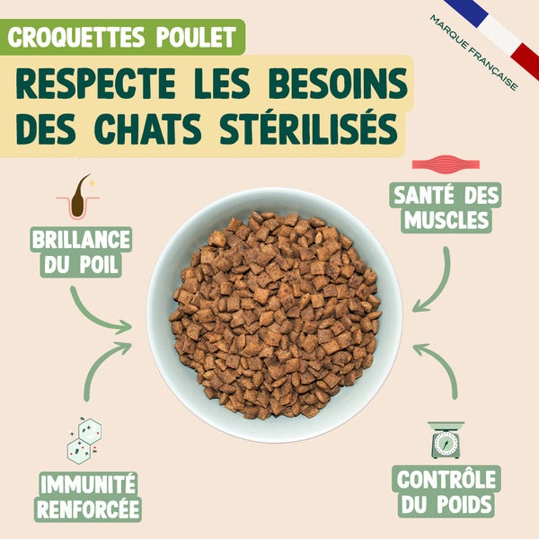 pack-pour-chat-en-surpoids