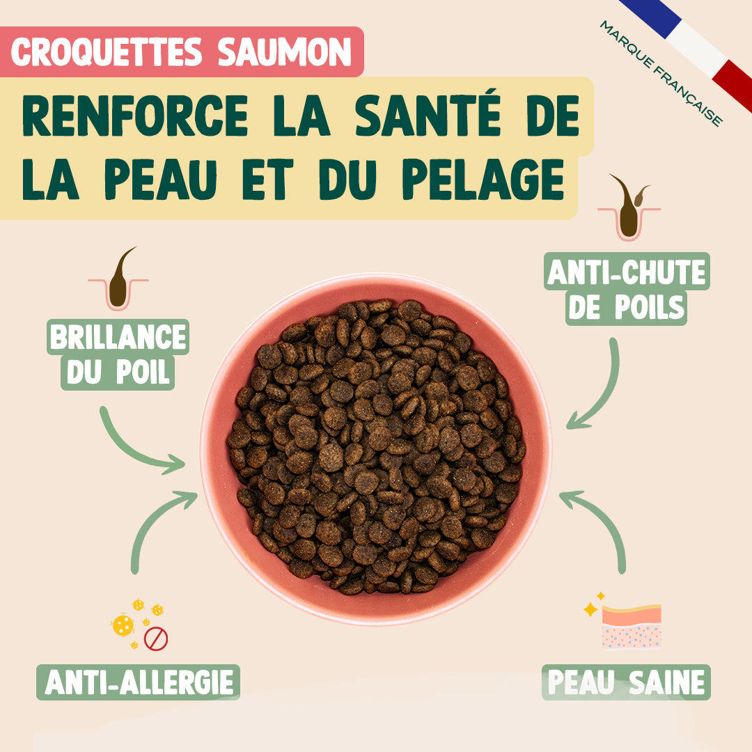 PACK PEAU SAINE POUR CHAT