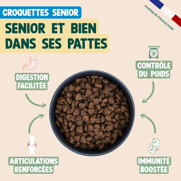 pack-pour-chien-senior