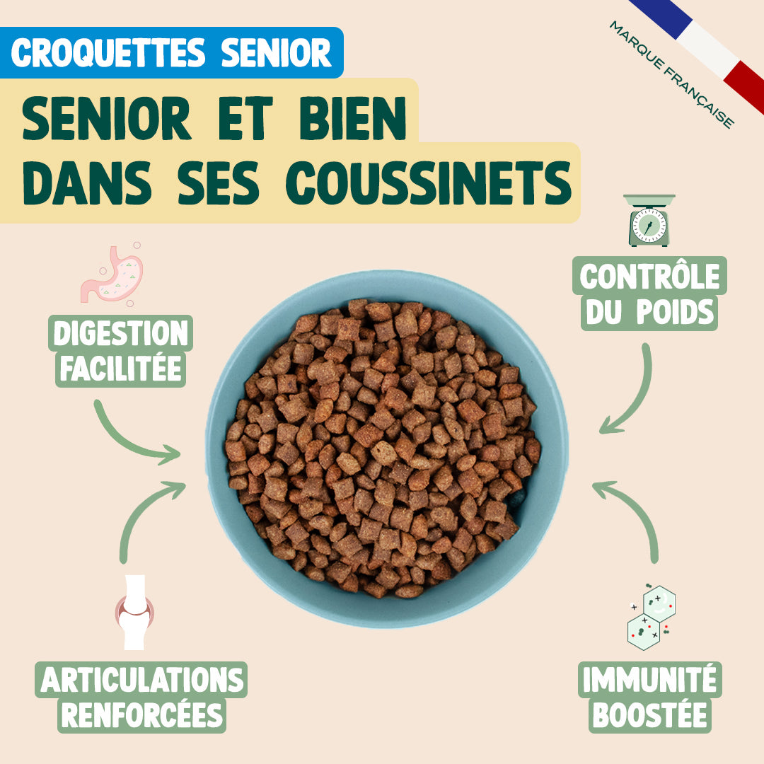 PACK POUR CHAT SENIOR