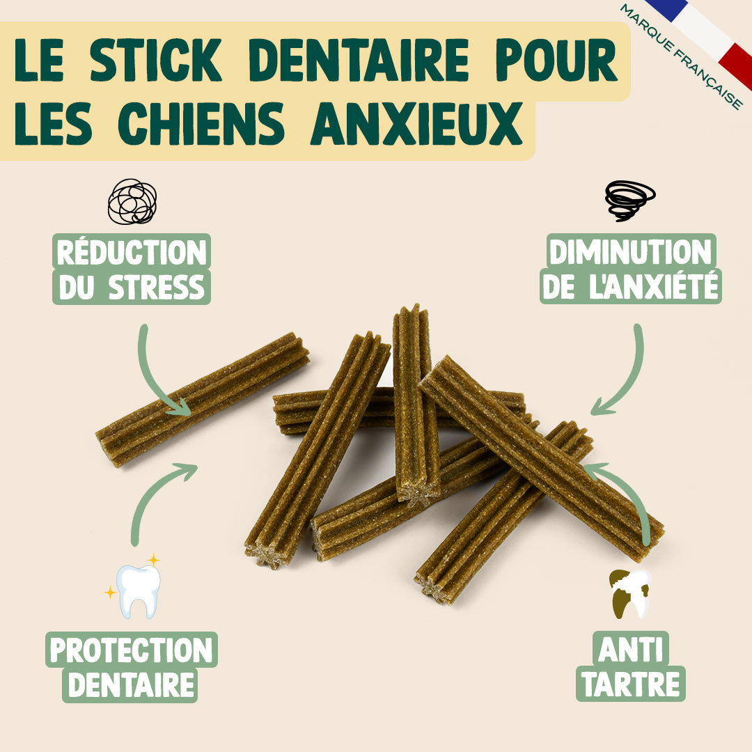PACK DENTAIRE POUR CHIEN