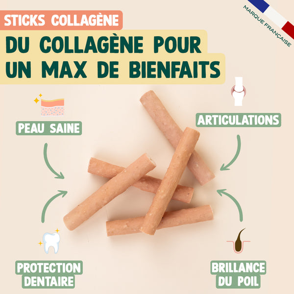 pack-pour-chien-au-collagene