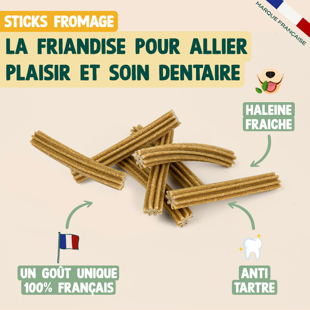 PACK DÉCOUVERTE STICKS DENTAIRES