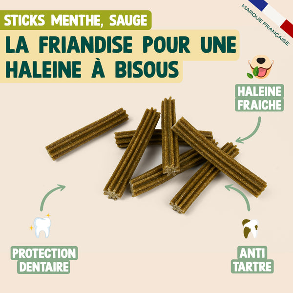 pack-decouverte-sticks-dentaires