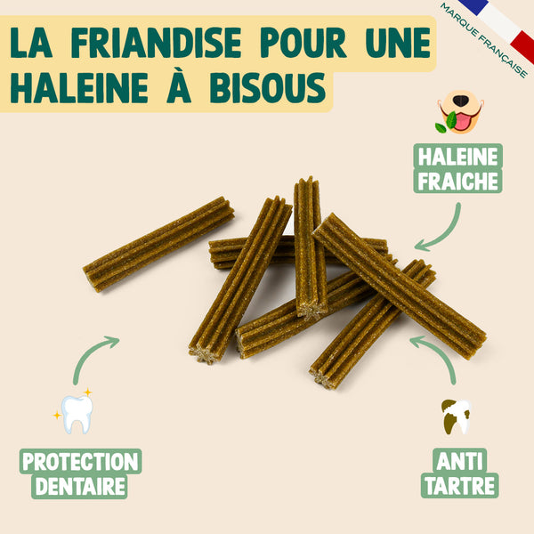 pack-dentaire-pour-chien