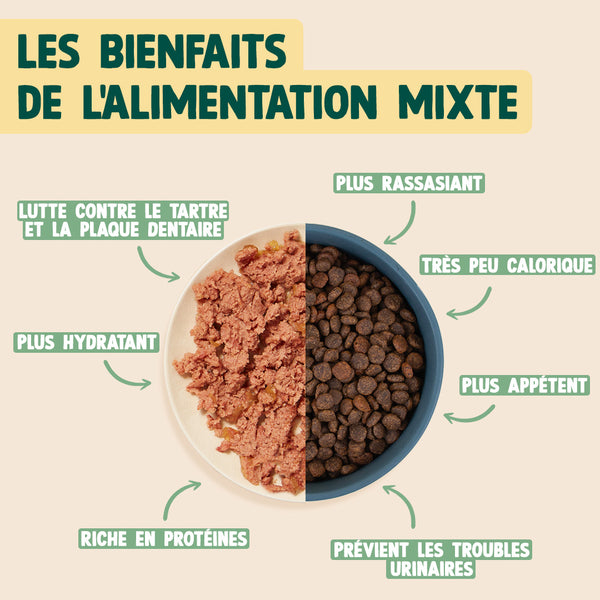 sanglier-myrtille-romarin