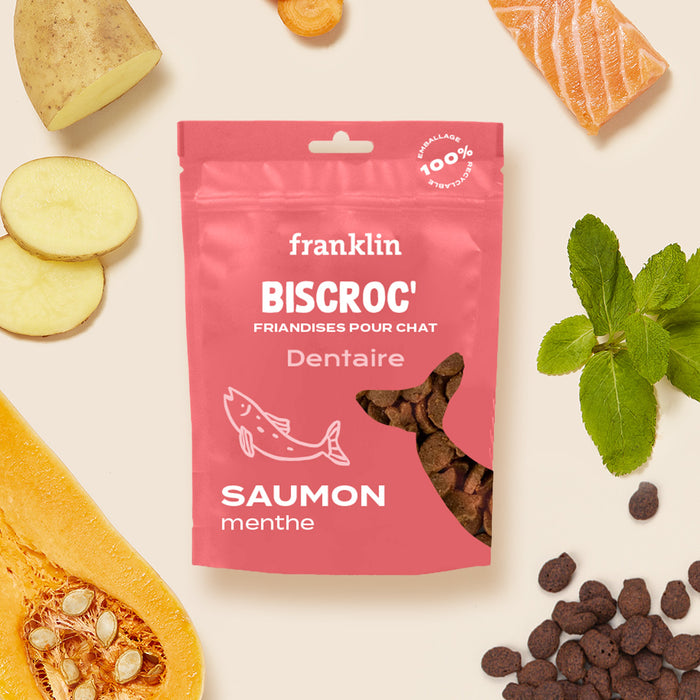 BISCROC' DENTAIRE SAUMON (CADEAU)