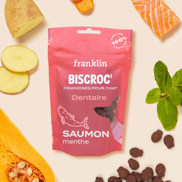 biscroc-39-dentaire-offre-compte-abonne