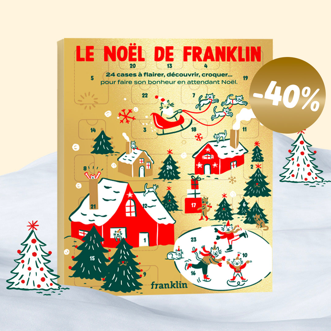 Cadeau pour chat : idées originales pour Noël et toute l'année | Franklin