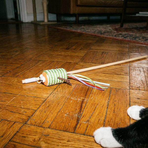 canne-a-peche-chat