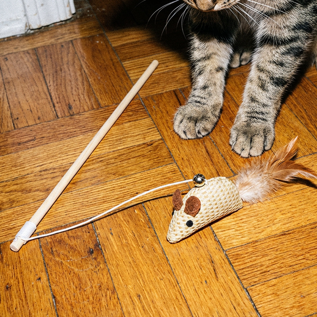 CANNE À PÊCHE CHAT