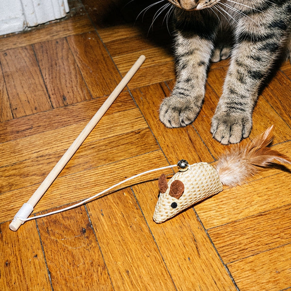 canne-a-peche-chat