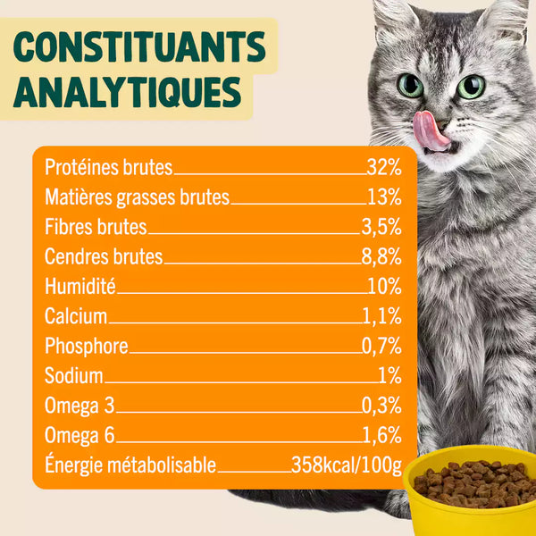 canard-courge-camomille