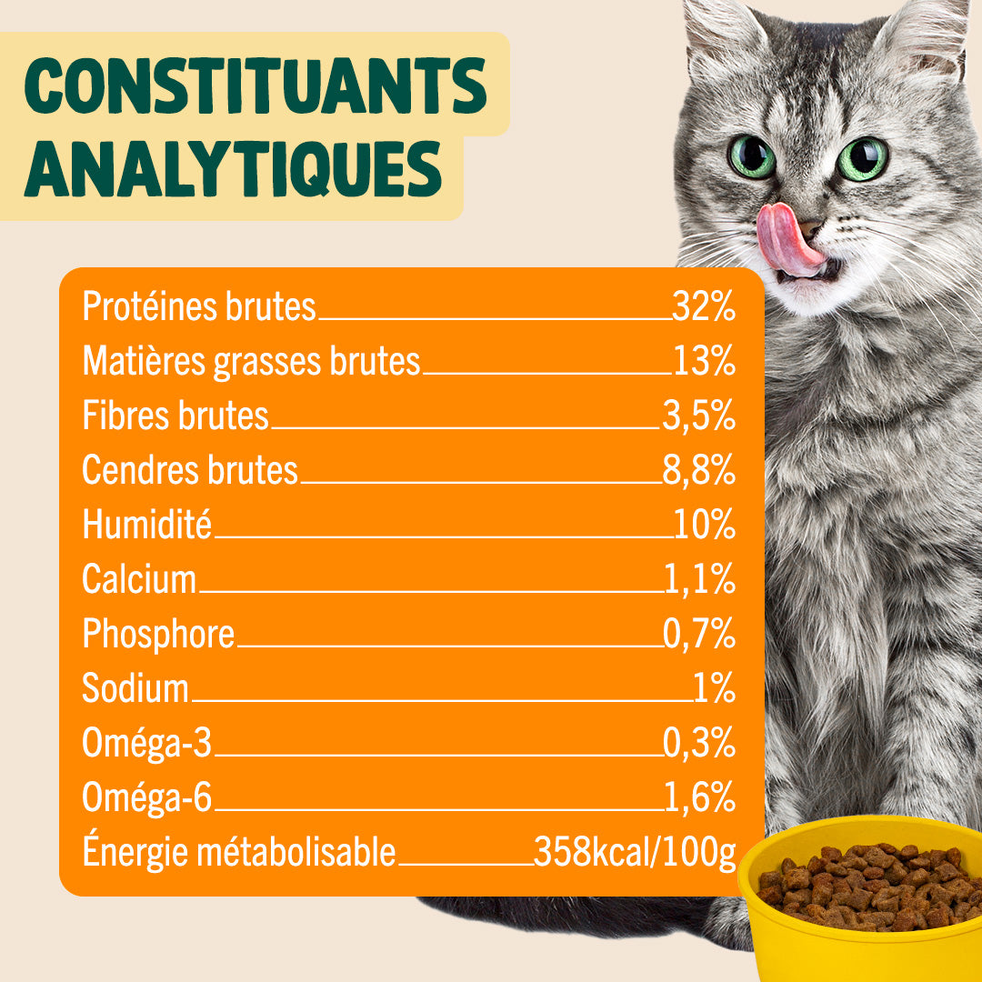 PACK TROUBLES URINAIRES POUR CHAT