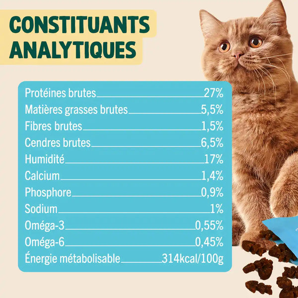 mini-snack-digestion