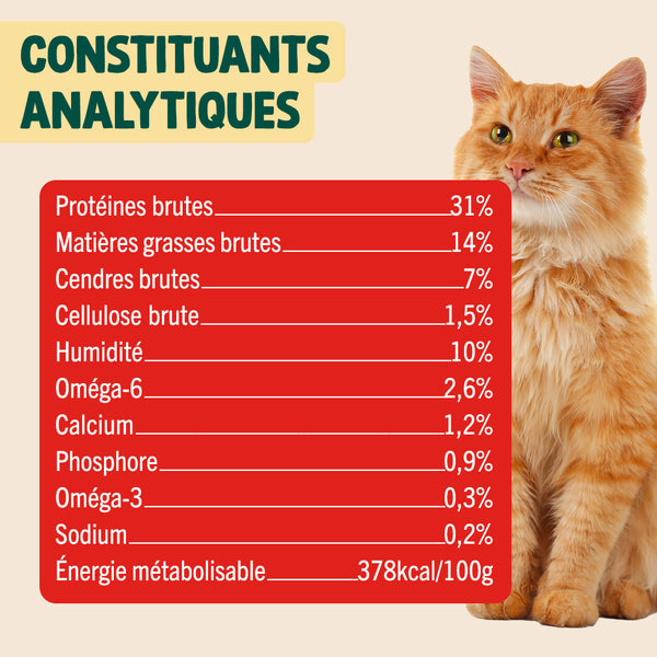 noel-gourmand-canard-cranberry