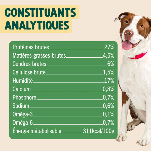 noel-gourmand-dinde-cheddar