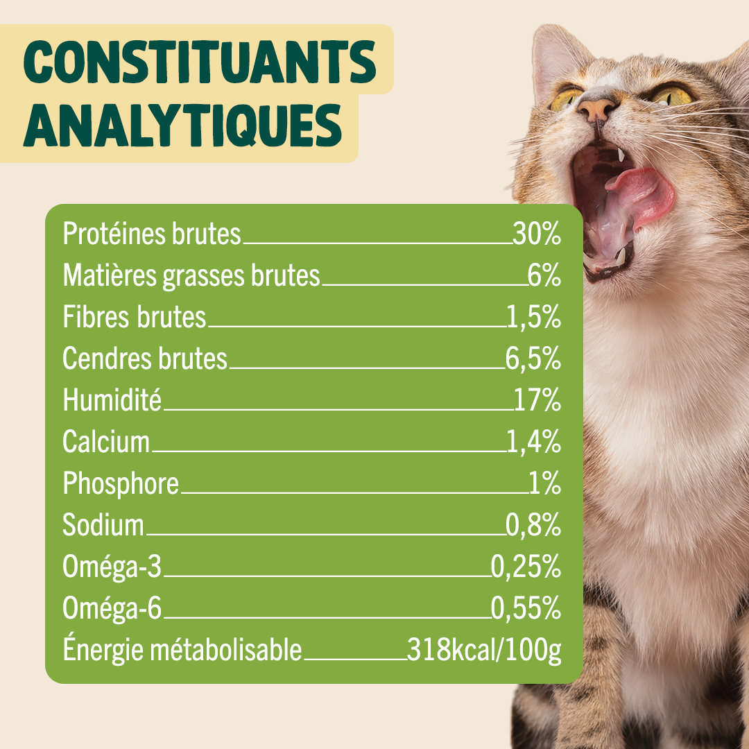 PACK TROUBLES URINAIRES POUR CHAT