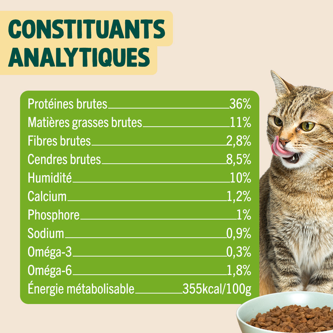 PACK POUR CHAT STÉRILISÉ