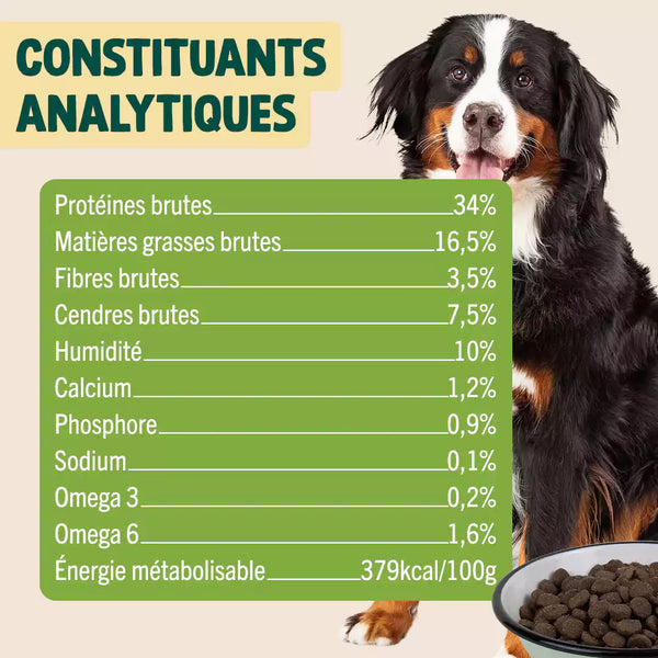 poulet-courge-myrtille
