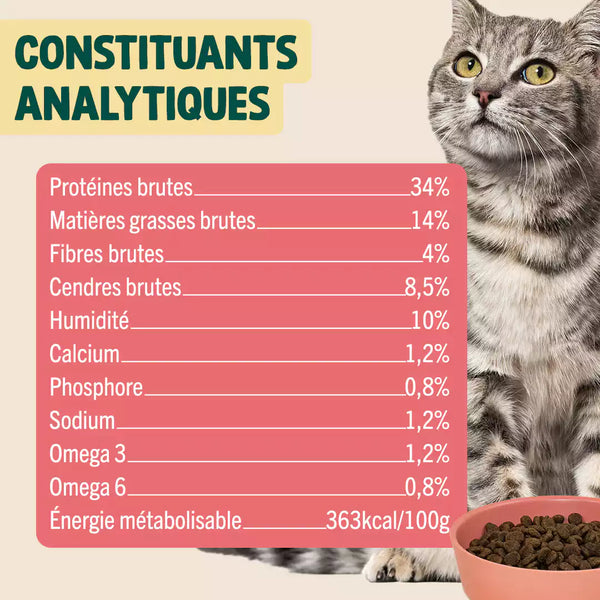 saumon-courge-camomille