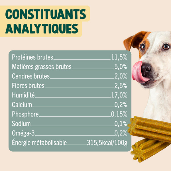 sticks-mobilite-amp-articulations
