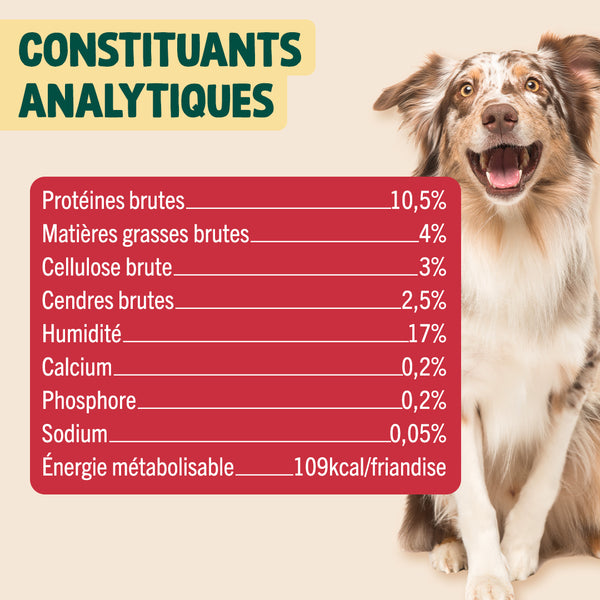 flocons-d-39-hiver-pomme-cannelle