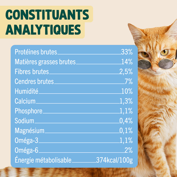 summer-snack-hareng-romarin