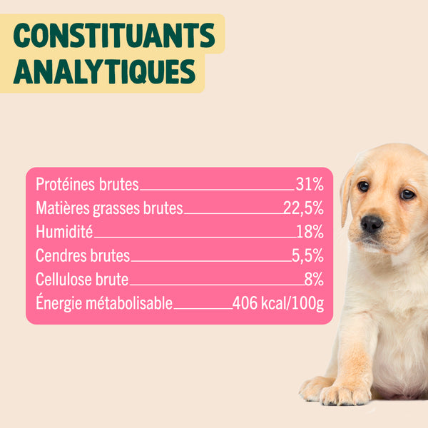 mini-viande-sechee-boeuf-romarin