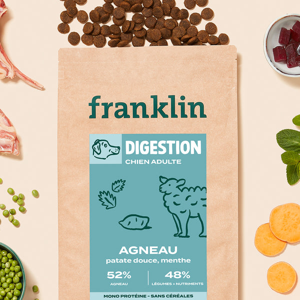 agneau-patate-douce-menthe