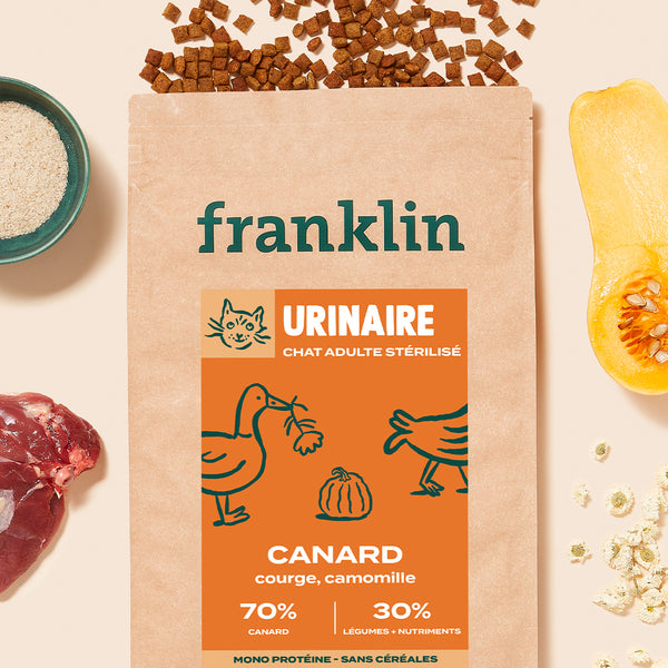 canard-courge-camomille